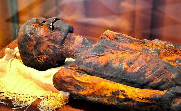 Вы бы были египетской мумией!