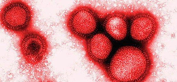 7. İnfluenza Virüsü