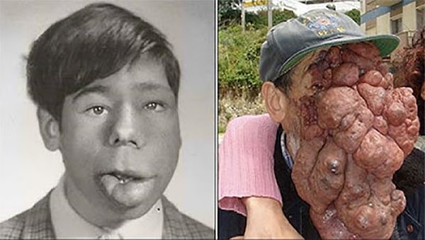 2. Хосе Местре