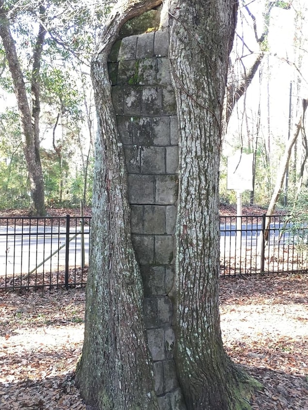 17. "Çiğnemeden yuttum."