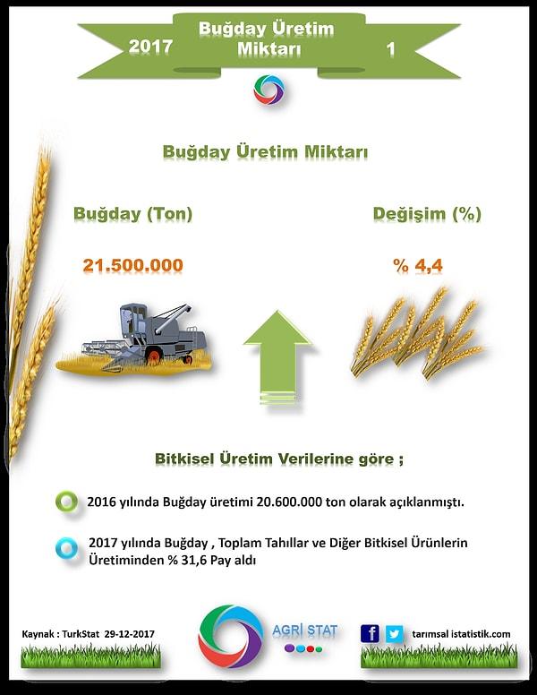Buğday Üretimi