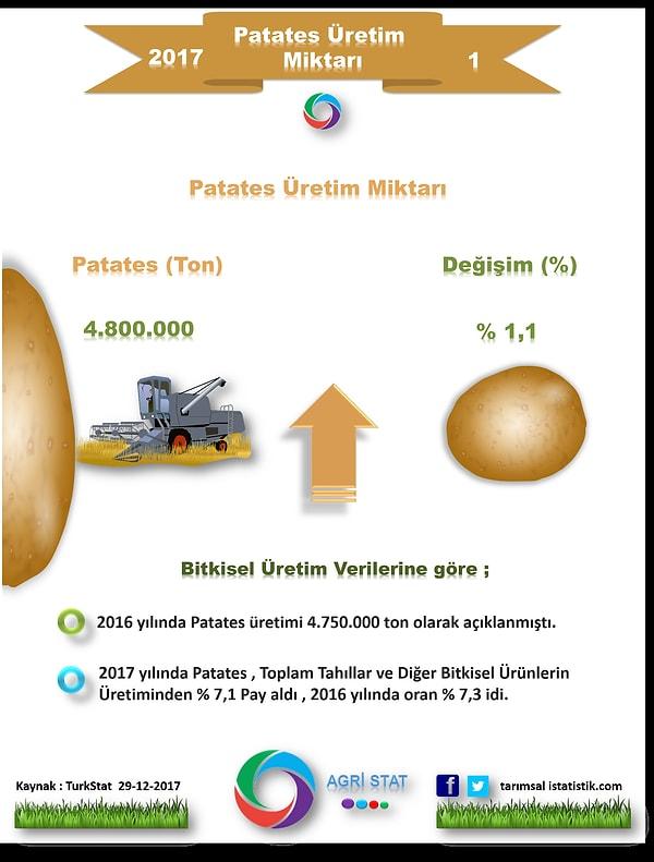 Patates Üretimi