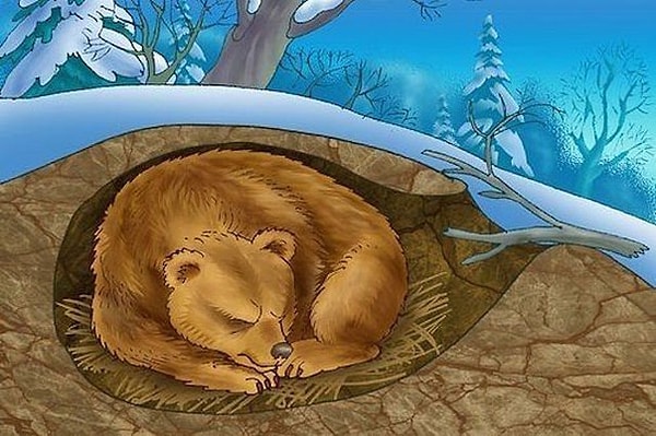 4. Многие животные впадают в зимнюю спячку, которая также называется...