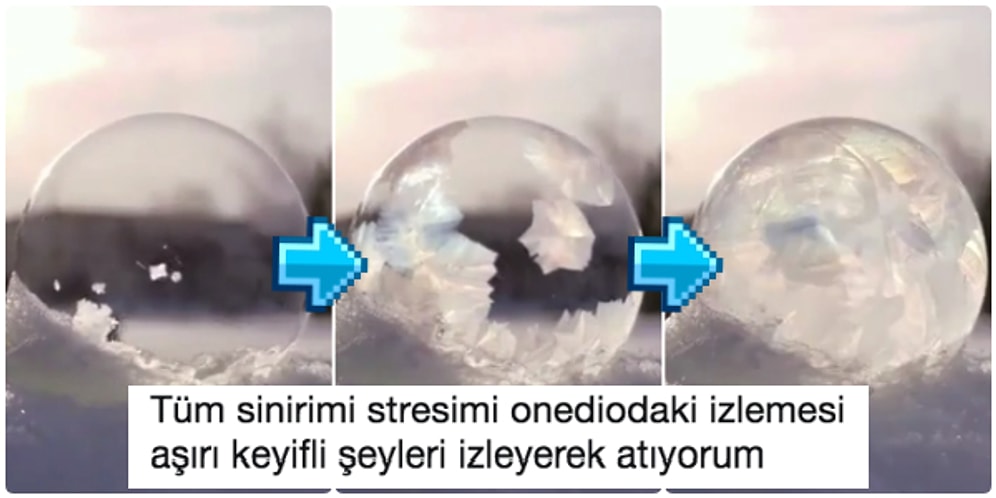 Sinire, Strese Birebir! İnsanı Pamuk Gibi Yapan İzlemesi Aşırı Keyifli 19 An
