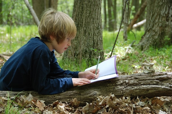 Натуралистический интеллект
