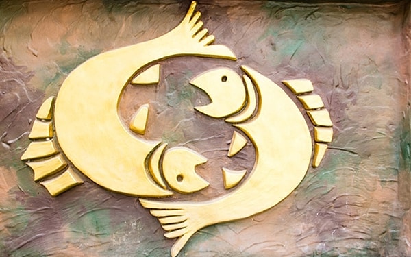 7. Выберите одно слово, которым можно описать типичных Рыб?