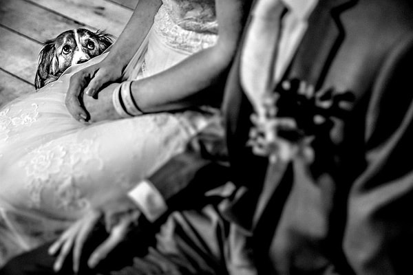 6. "А меня ты спросила вообще?"