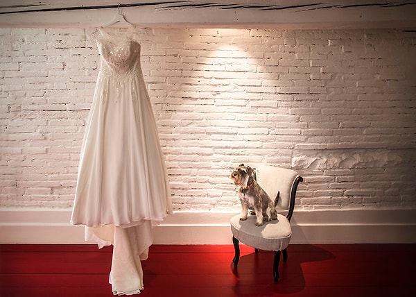 23. "А у нее есть вкус..."