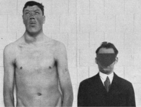 11. Адам Райнер