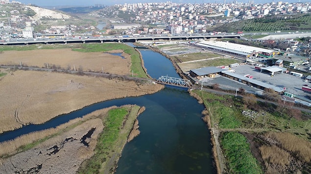 ‘Karadeniz’in de ekolojik yapısı bozulacak’