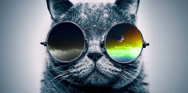 Aranan Cool!