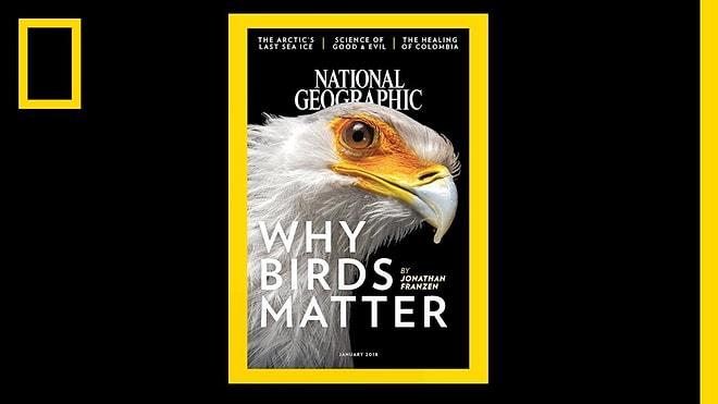 2 Dakikada National Geographic'in 130 Yıllık Dergi Kapakları