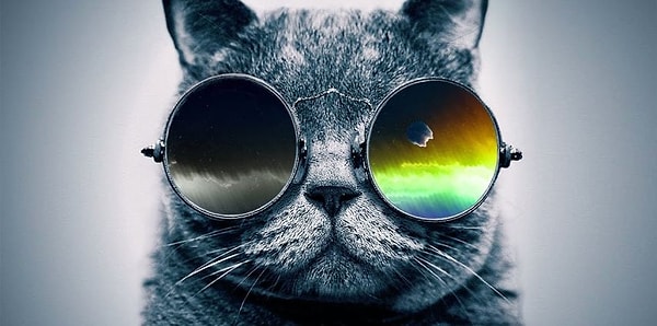 Ты один(одна) из крутых!