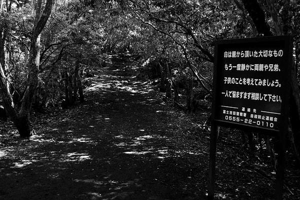 11. Aokigahara Ormanı - Japonya