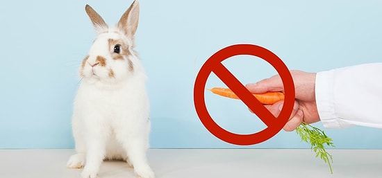 9 прописных истин, в которые верит каждый и которые неожиданно оказались ложью