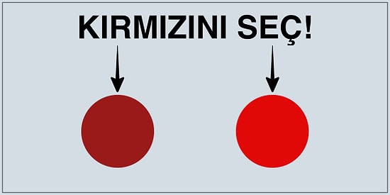 Bu Renk Algısı Testi, Senin Baskın Cinsiyetini Ortaya Koyuyor!