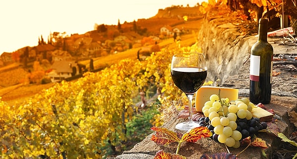 2. В 2008 году во время традиционного праздника сбора винограда из кранов жилых домов вместо воды потекло вино