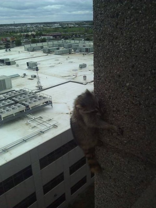 5. Неожиданно