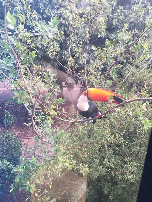 7. Какая красота!