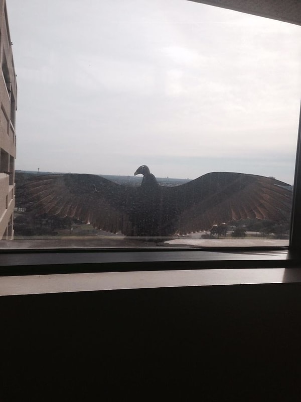 8. "Подойди ко мне, бро"