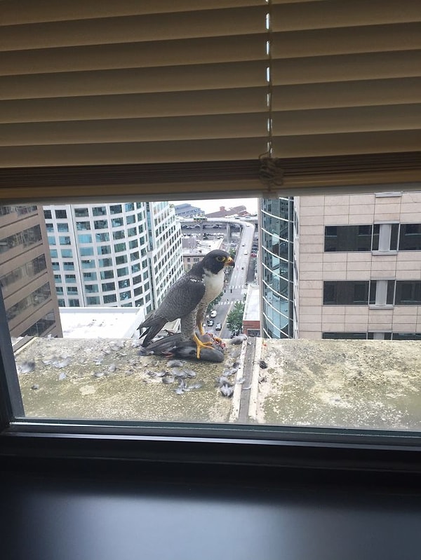 13. "На 10-м этаже"