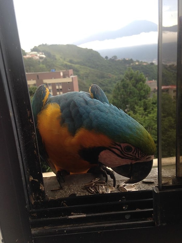 14. Гостя надо накормить!