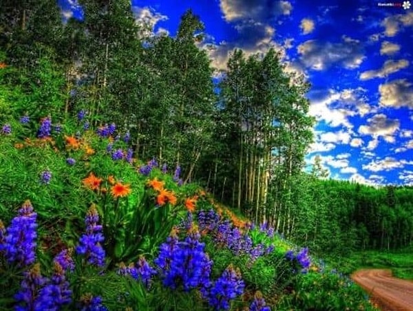 2. Что скажете насчет этой фотографии? Какой цвет доминирует здесь?