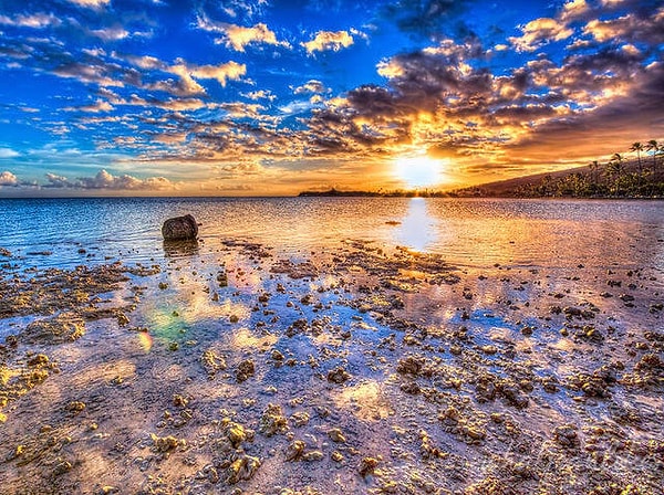 4. Какой цвет взывает к вам?