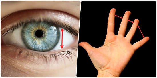 Boşanma İhtimalinizden Tutun da Kalp Hastalıklarına Kadar Vücudunuz Sizin Hakkınızda Neler Anlatıyor?