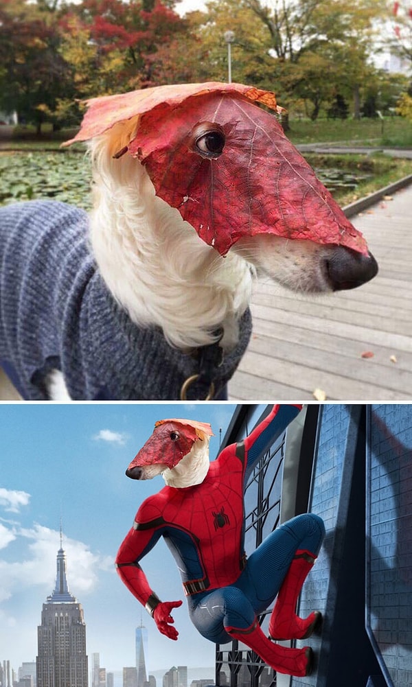 9. "Собака с маской из листьев"