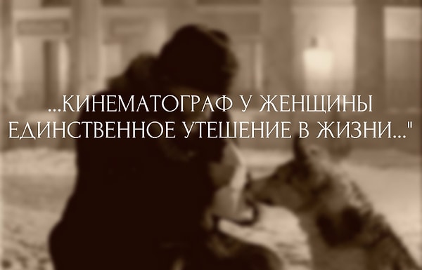 5. Ваш вердикт?