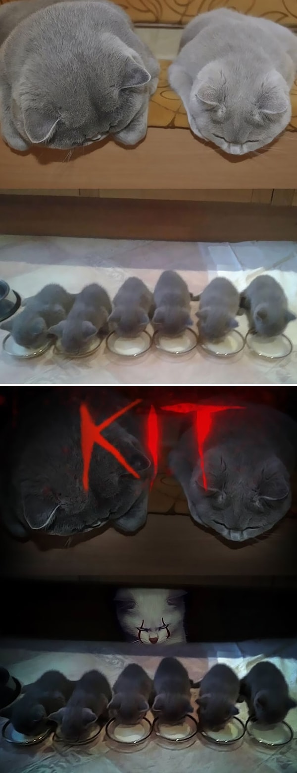 21. "Две кошки и шесть их котят"