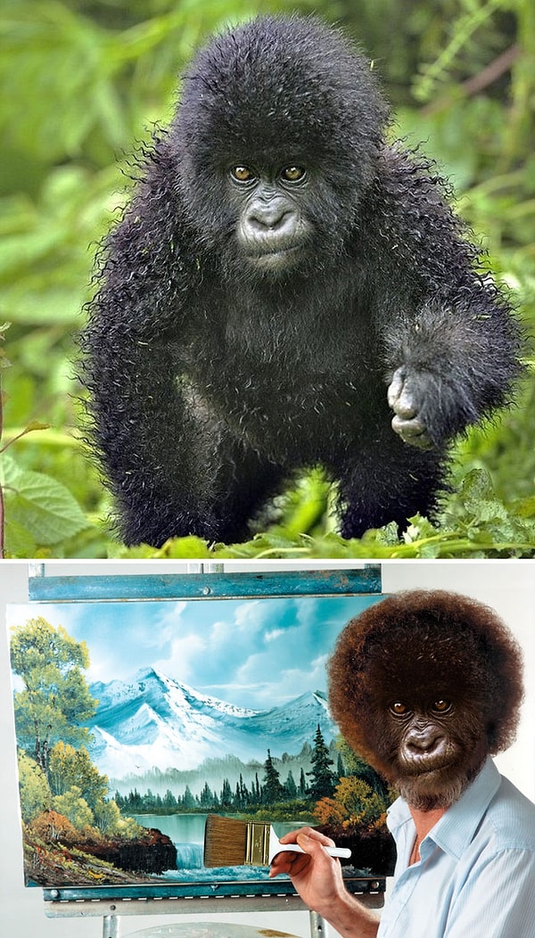 28. "Детеныш гориллы"