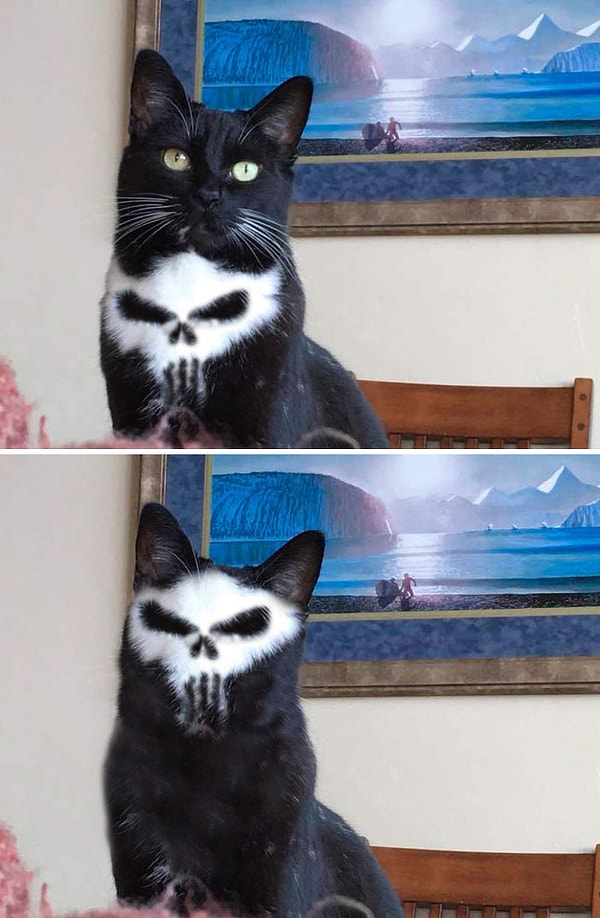 32. "Кот с черепом на груди"