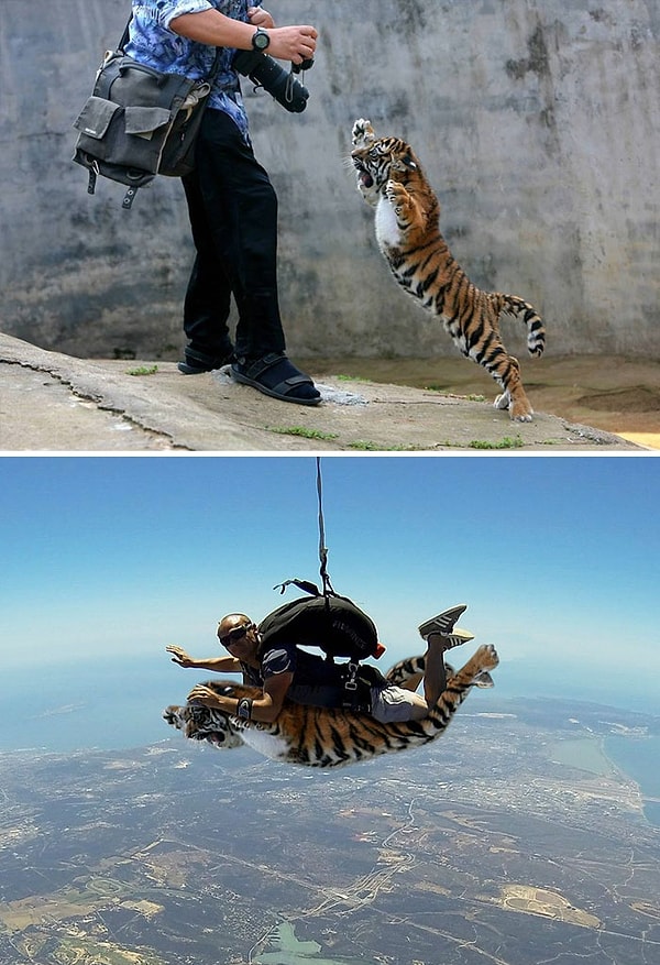 35. "Тигренок в прыжке"