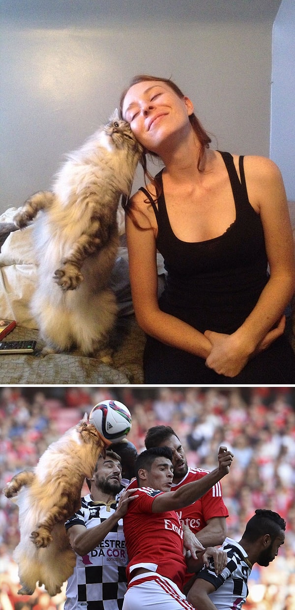 38. "Кот и девушка"