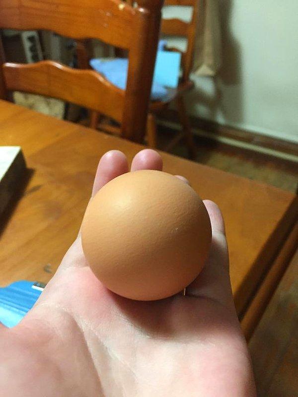 3. Daha önce böyle bir yumurta gören oldu mu?