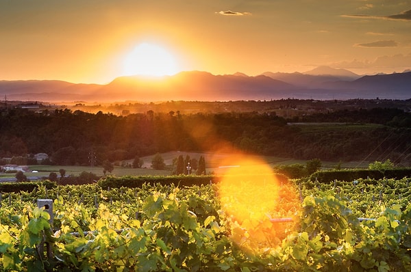 9. Кустоза, Италия