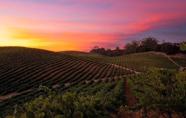 14. Напа, США