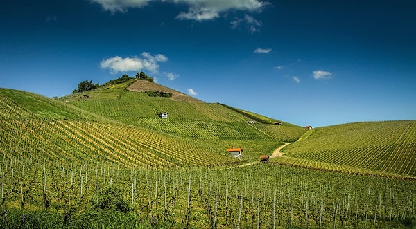 15. Неккарзульм, Германия