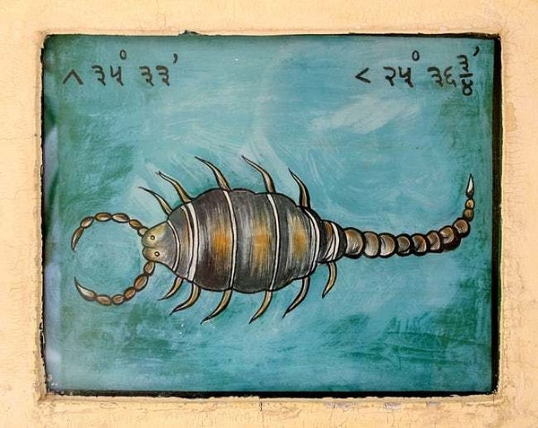 8. Скорпионам нужно больше сна, чем они получают