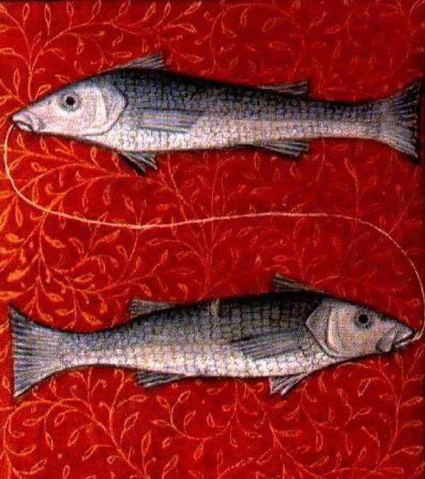 12. Рыбы ненавидят спать без снов