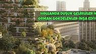 Baştan Uyaralım, Moraliniz Bozulabilir! Dünya Gündeminden 11 Pozitif Haber