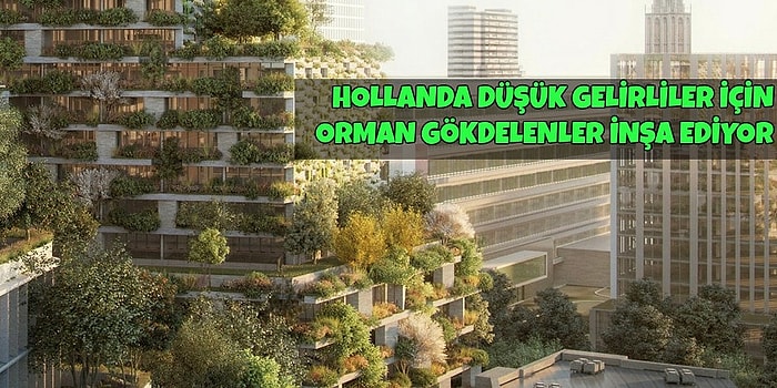 Baştan Uyaralım, Moraliniz Bozulabilir! Dünya Gündeminden 11 Pozitif Haber