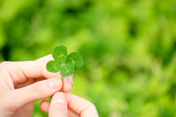 4. Веришь ли ты в удачу? ☘️