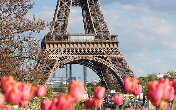 4. Слово "шваль" пришло к нам из французского. Что же означает "cheval" в переводе с этого языка?