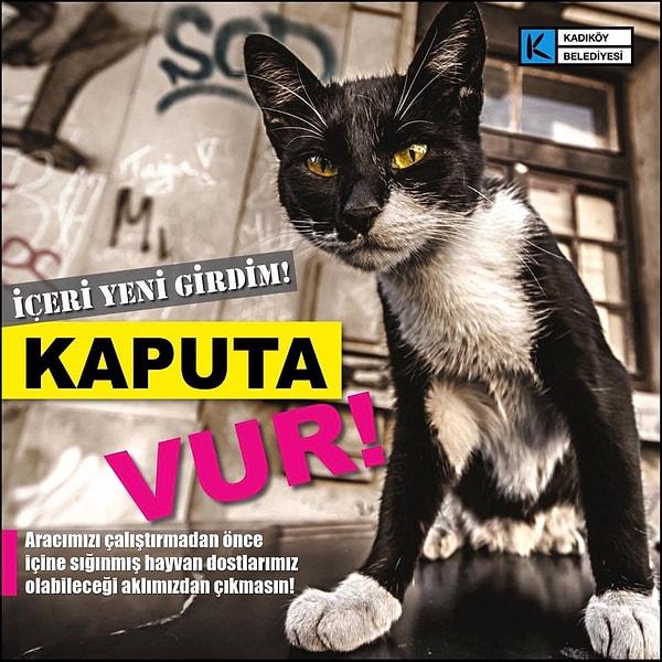 Kadıköy Belediyesi geçtiğimiz yıllarda hayvanlar için hepimizin yapabileceği basit ve etkili yöntemleri sıralamıştı👇
