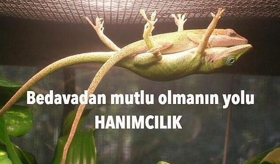 Hanımcı Olmanın Erkeğin Ömrünü Uzattığına Dair Çok da Bilimsel Olmayan 11 Kanıt