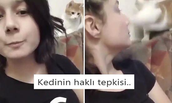 Twitter'ın Mizahşörleri Tarafından Paylaşılmış Geçtiğimiz Haftanın En İyi 18 Videosu