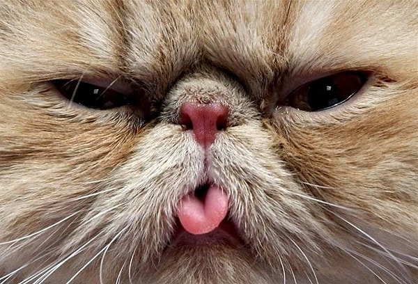 4. Назовите отрицательную черту своего характера!